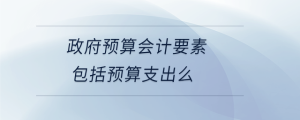 政府預(yù)算會(huì)計(jì)要素包括預(yù)算支出么