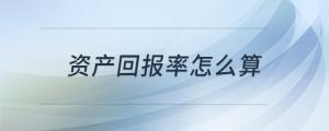 資產(chǎn)回報(bào)率怎么算