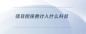 項(xiàng)目擔(dān)保費(fèi)計(jì)入什么科目
