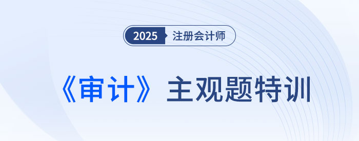 利用內(nèi)部審計人員的工作_2025注會審計主觀題特訓(xùn)