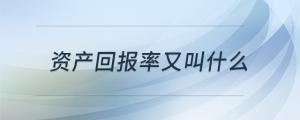 資產(chǎn)回報(bào)率又叫什么