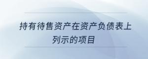 持有待售資產(chǎn)在資產(chǎn)負(fù)債表上列示的項(xiàng)目