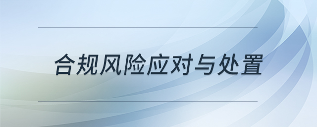 合規(guī)風(fēng)險應(yīng)對與處置