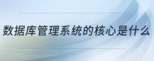 數(shù)據(jù)庫管理系統(tǒng)的核心是什么