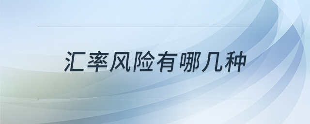 匯率風險有哪幾種