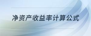 凈資產(chǎn)收益率計算公式