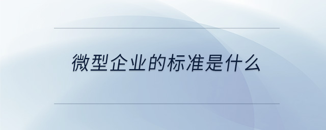 微型企業(yè)的標(biāo)準(zhǔn)是什么