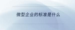 微型企業(yè)的標(biāo)準(zhǔn)是什么