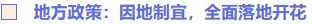 地方政策：因地制宜，全面落地開花