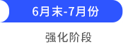 強(qiáng)化階段