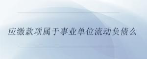 應(yīng)繳款項(xiàng)屬于事業(yè)單位流動(dòng)負(fù)債么