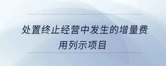 處置終止經(jīng)營(yíng)中發(fā)生的增量費(fèi)用列示項(xiàng)目