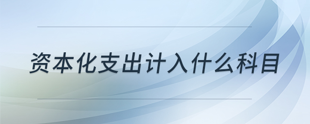 資本化支出計(jì)入什么科目