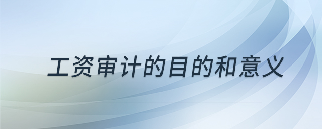 工資審計(jì)的目的和意義