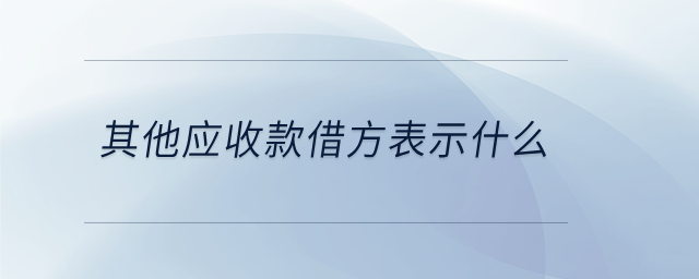 其他應收款借方表示什么