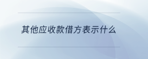 其他應收款借方表示什么