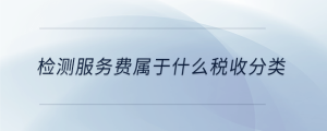 檢測服務費屬于什么稅收分類
