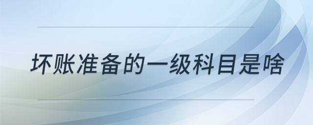 壞賬準(zhǔn)備的一級(jí)科目是啥