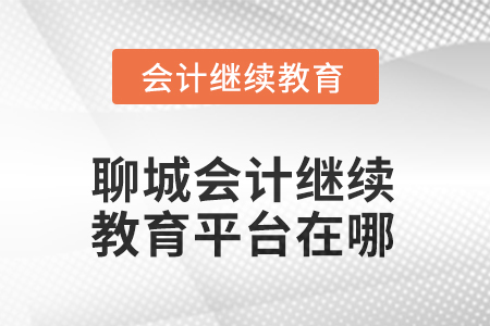 2025年度聊城會(huì)計(jì)人員繼續(xù)教育平臺(tái)在哪？