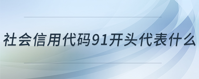 社會信用代碼91開頭代表什么