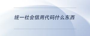 統(tǒng)一社會(huì)信用代碼什么東西