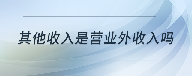 其他收入是營業(yè)外收入嗎