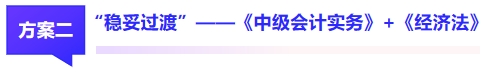 中級(jí)會(huì)計(jì)方案二