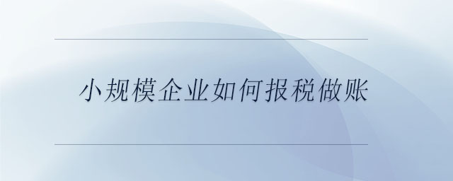 小規(guī)模企業(yè)如何報稅做賬