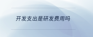 開發(fā)支出是研發(fā)費用嗎