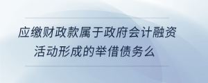 應繳財政款屬于政府會計融資活動形成的舉借債務么