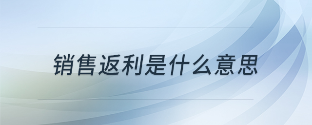 銷(xiāo)售返利是什么意思