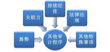 其他審計(jì)程序
